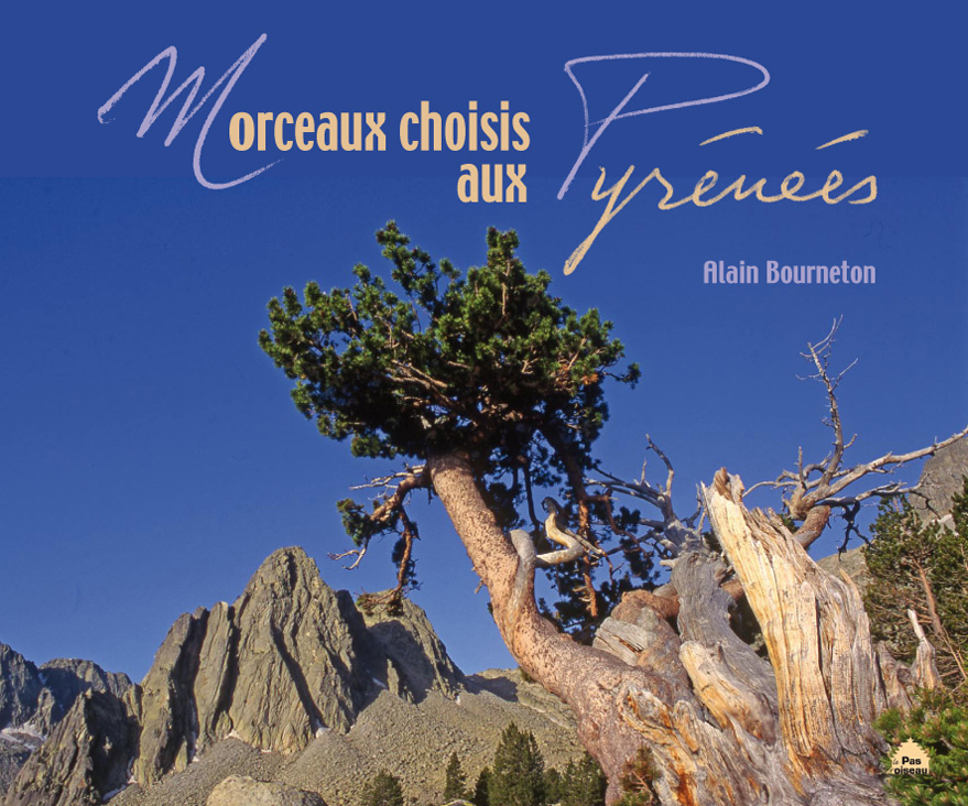 Souvenirs D'Un Chasseur De Haute Montagne