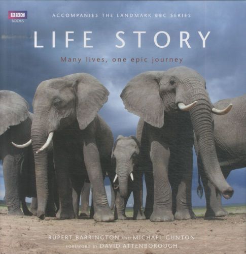Life Story