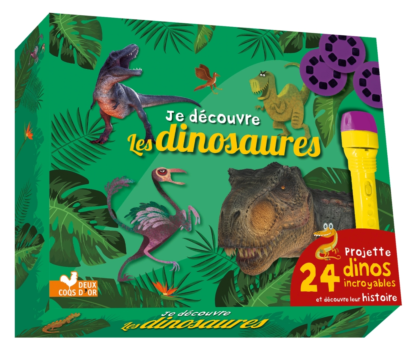 Je découvre les dinosaures - coffret avec lampe