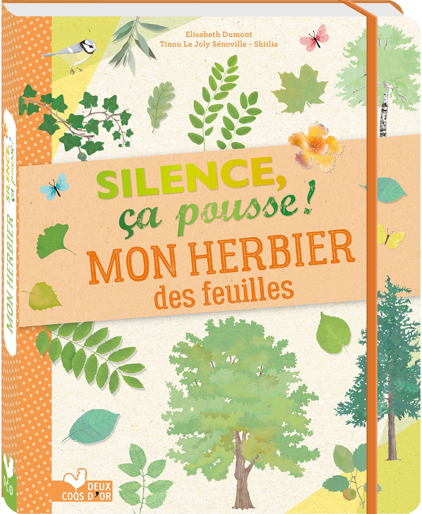 Silence ça pousse Mon herbier