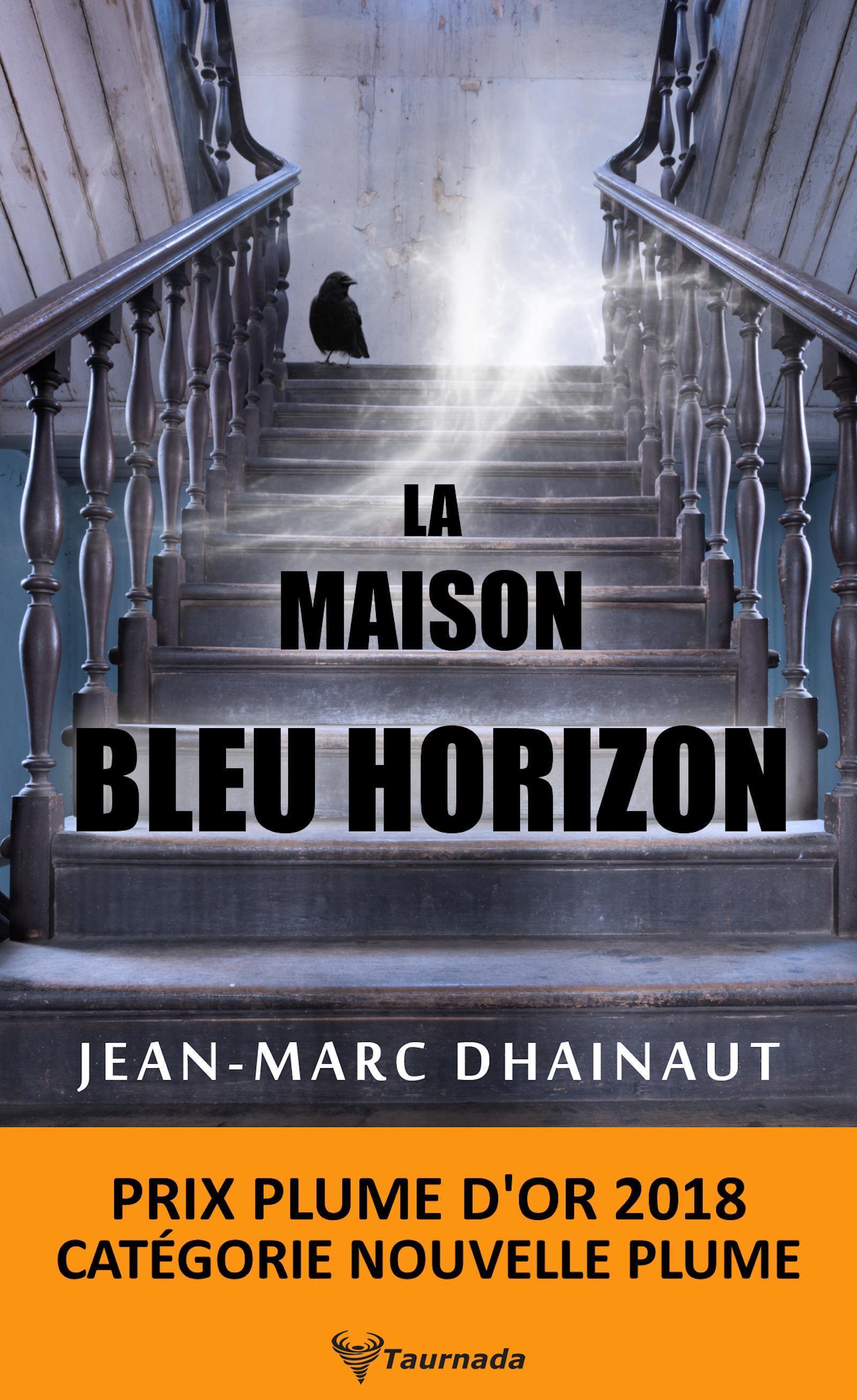 La Maison bleu horizon