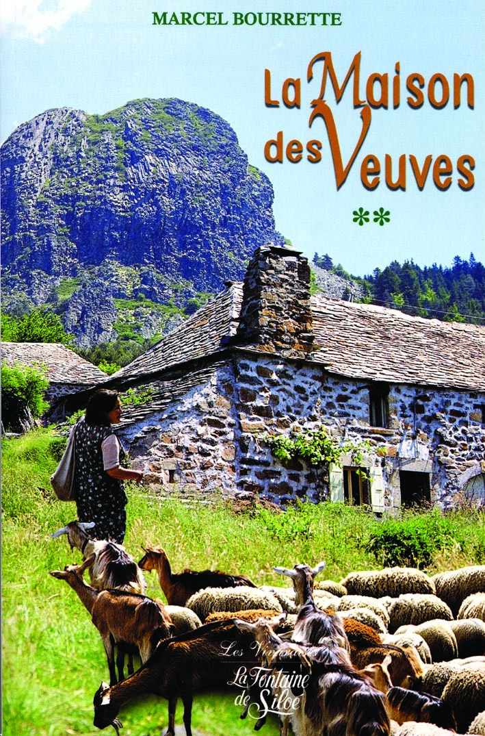 La Maison des Veuves T.2