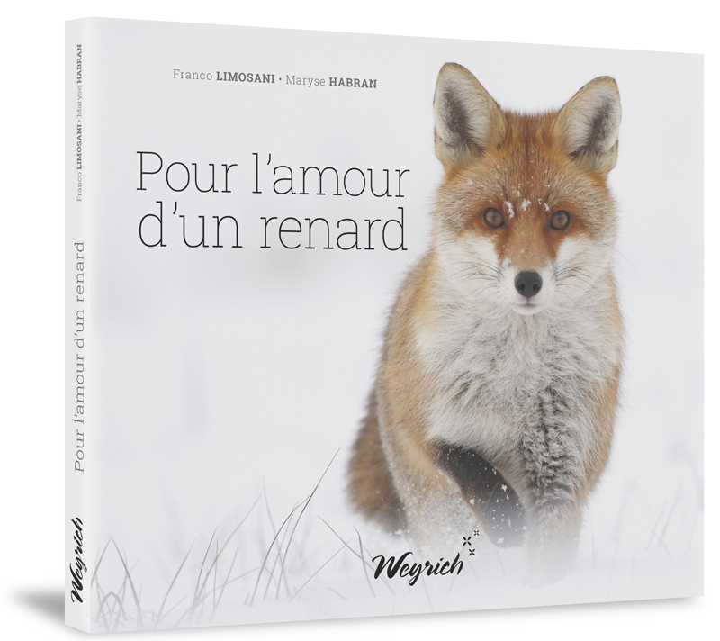 POUR L'AMOUR D'UN RENARD