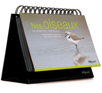 OISEAUX (NOS) - CALENDRIER PERPETUEL