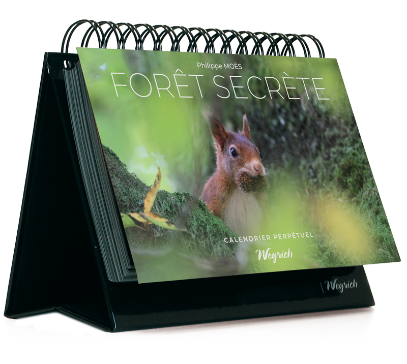 FORET SECRETE
