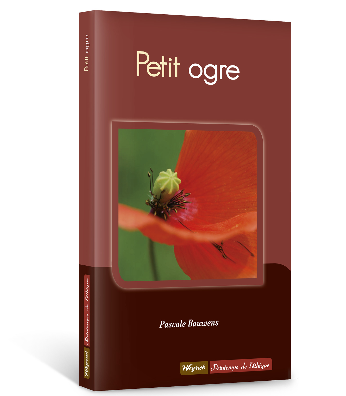 PETIT OGRE