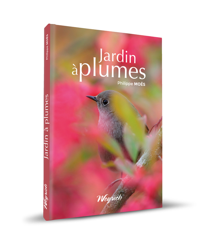 JARDIN A PLUMES - AMENAGEMENTS POUR ACCUEILLIR LES OISEAUX