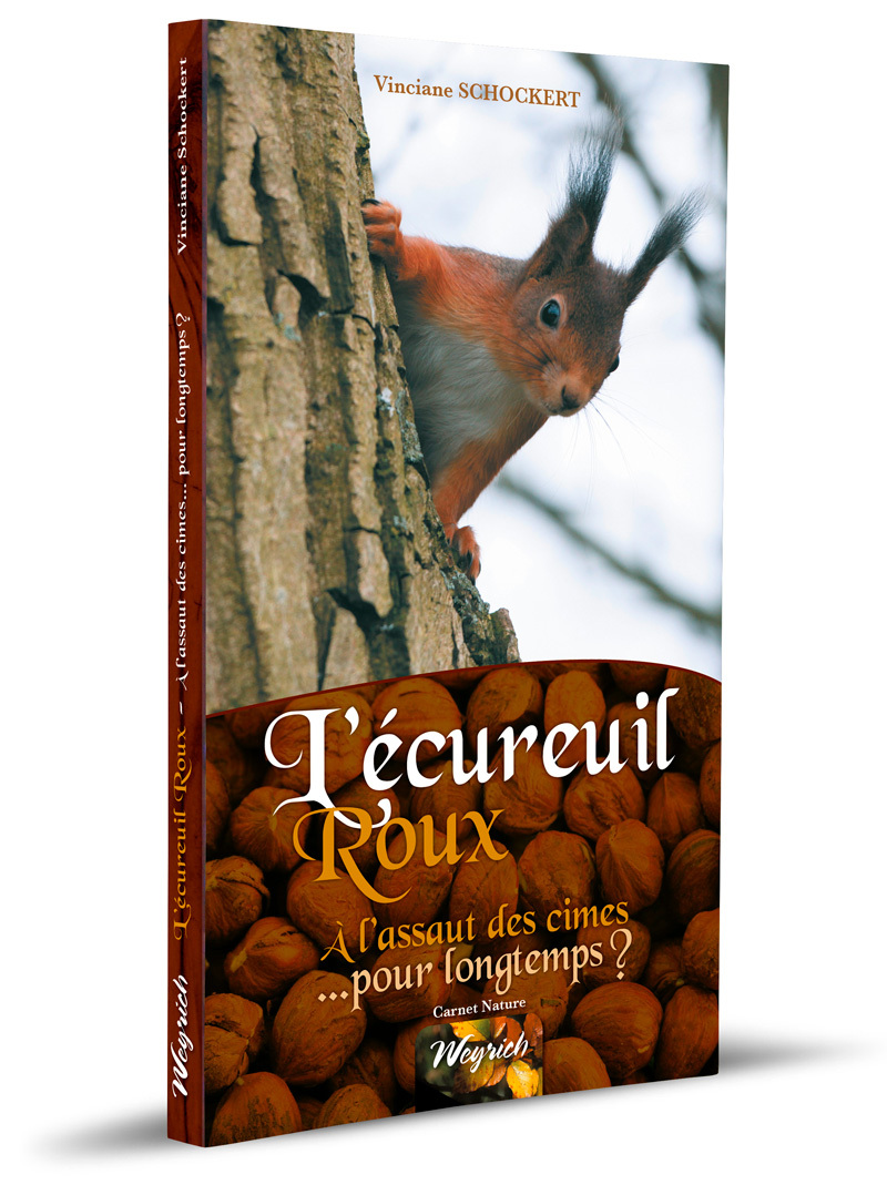 ECUREUIL ROUX (L')
