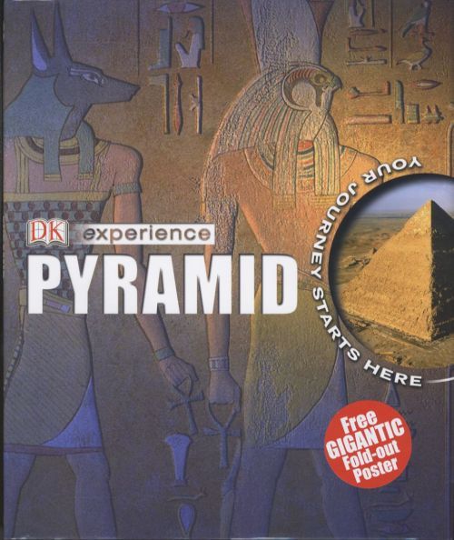 Experience Pyramid