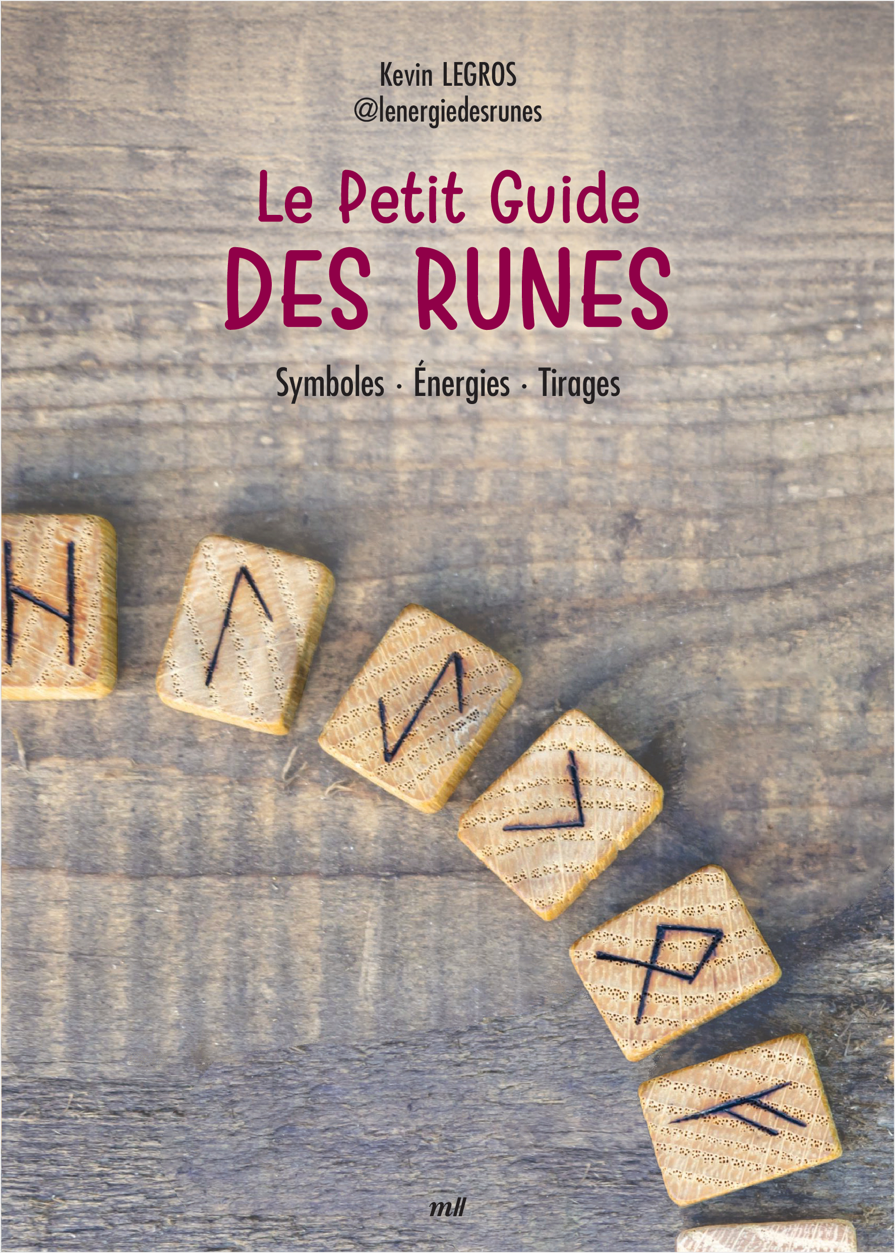 Le Petit Guide des runes