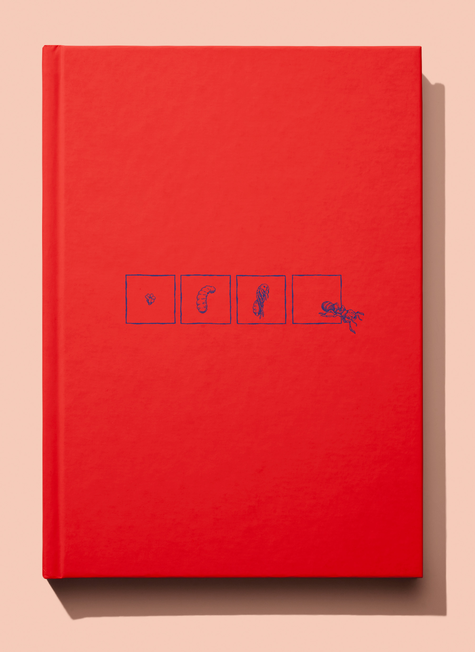 La Révolution des fourmis