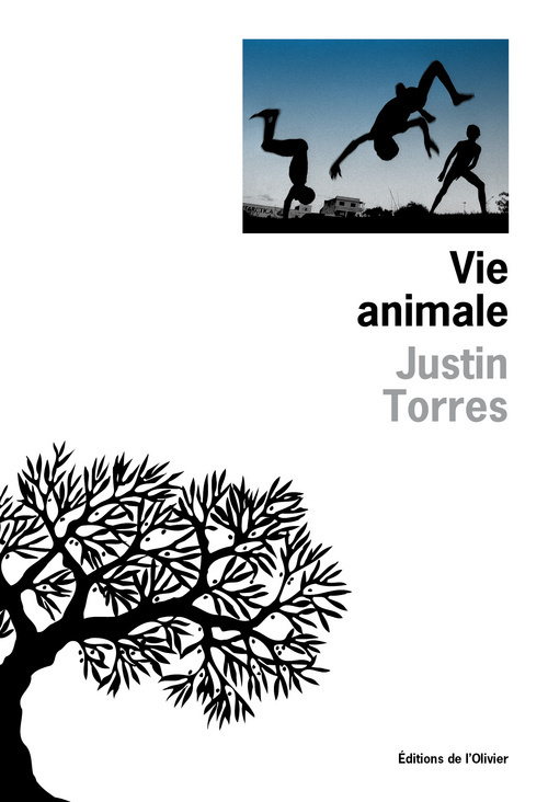 Vie animale