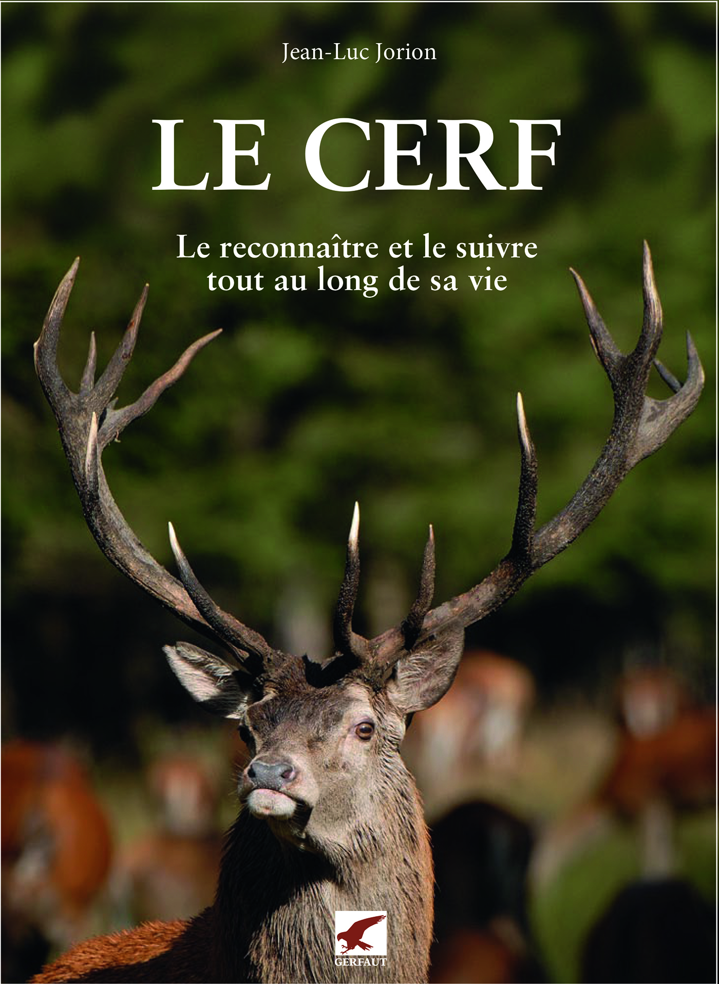 Le cerf