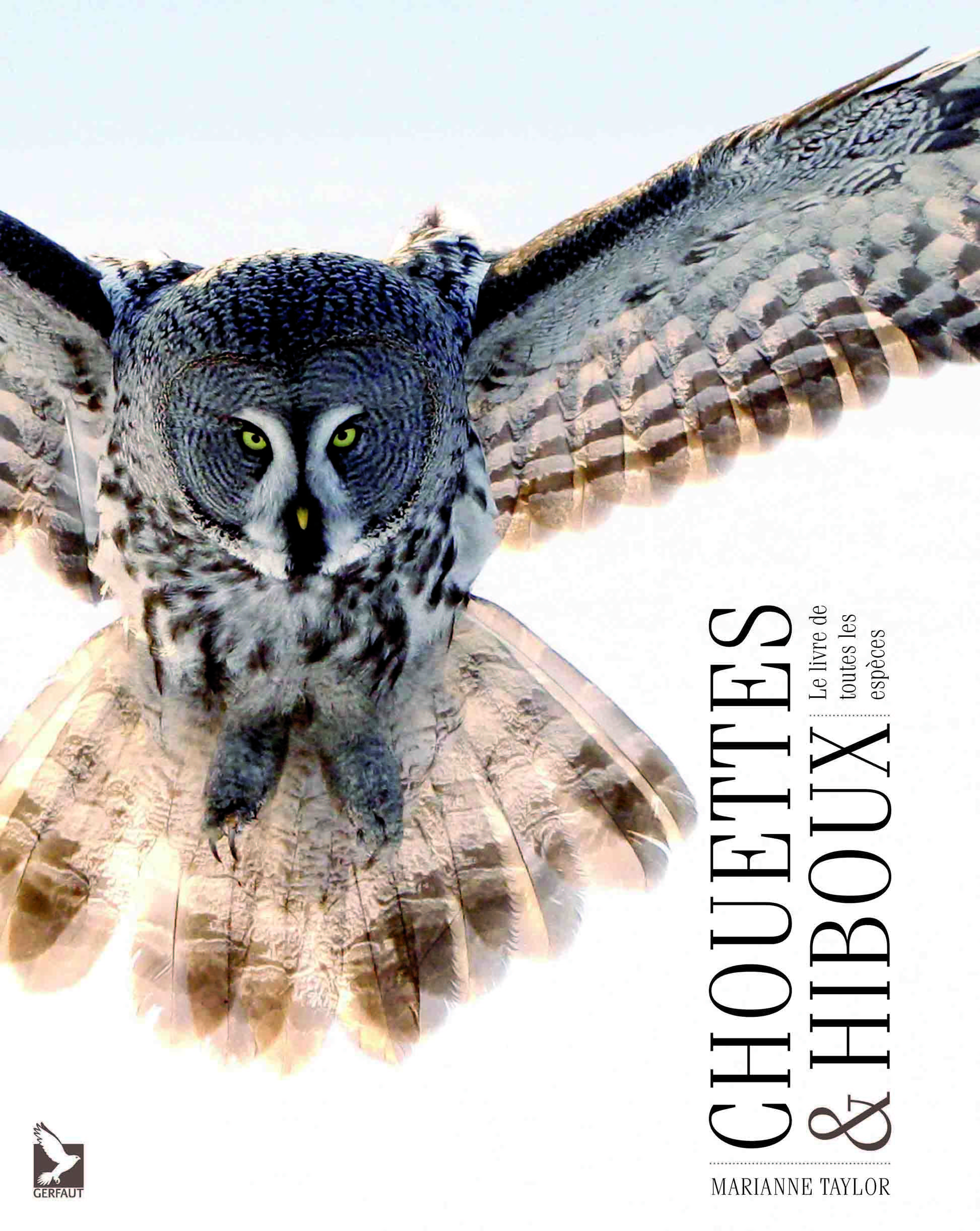 CHOUETTES ET DES HIBOUX