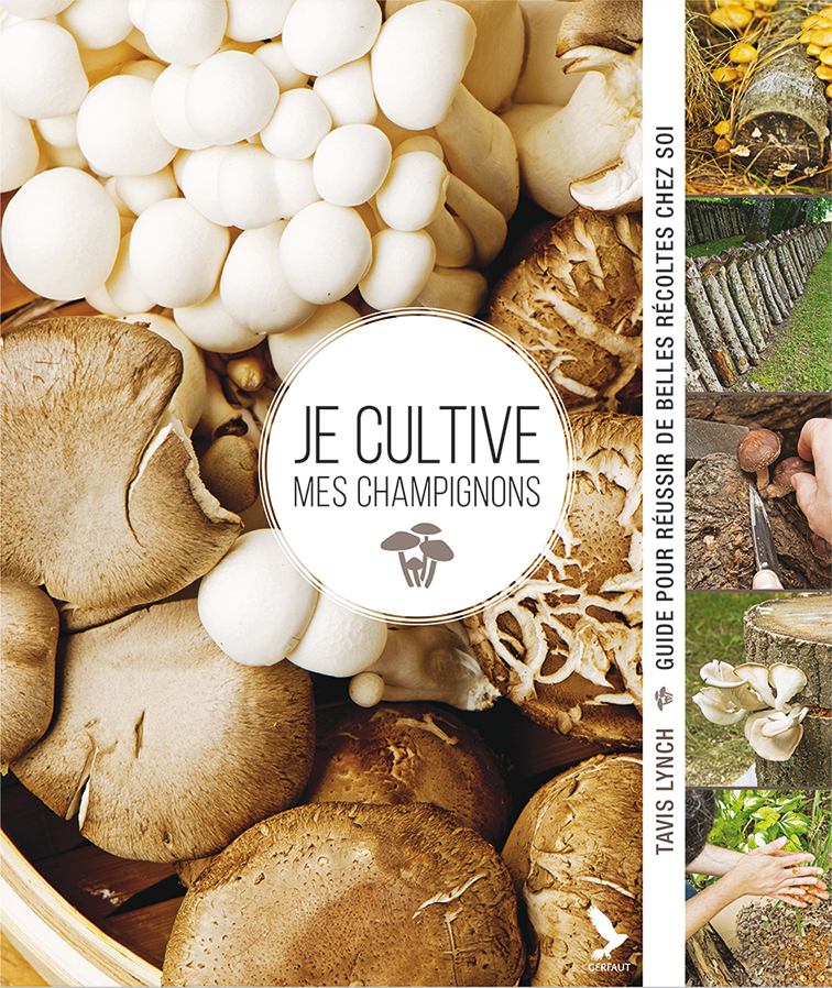Je cultive mes champignons