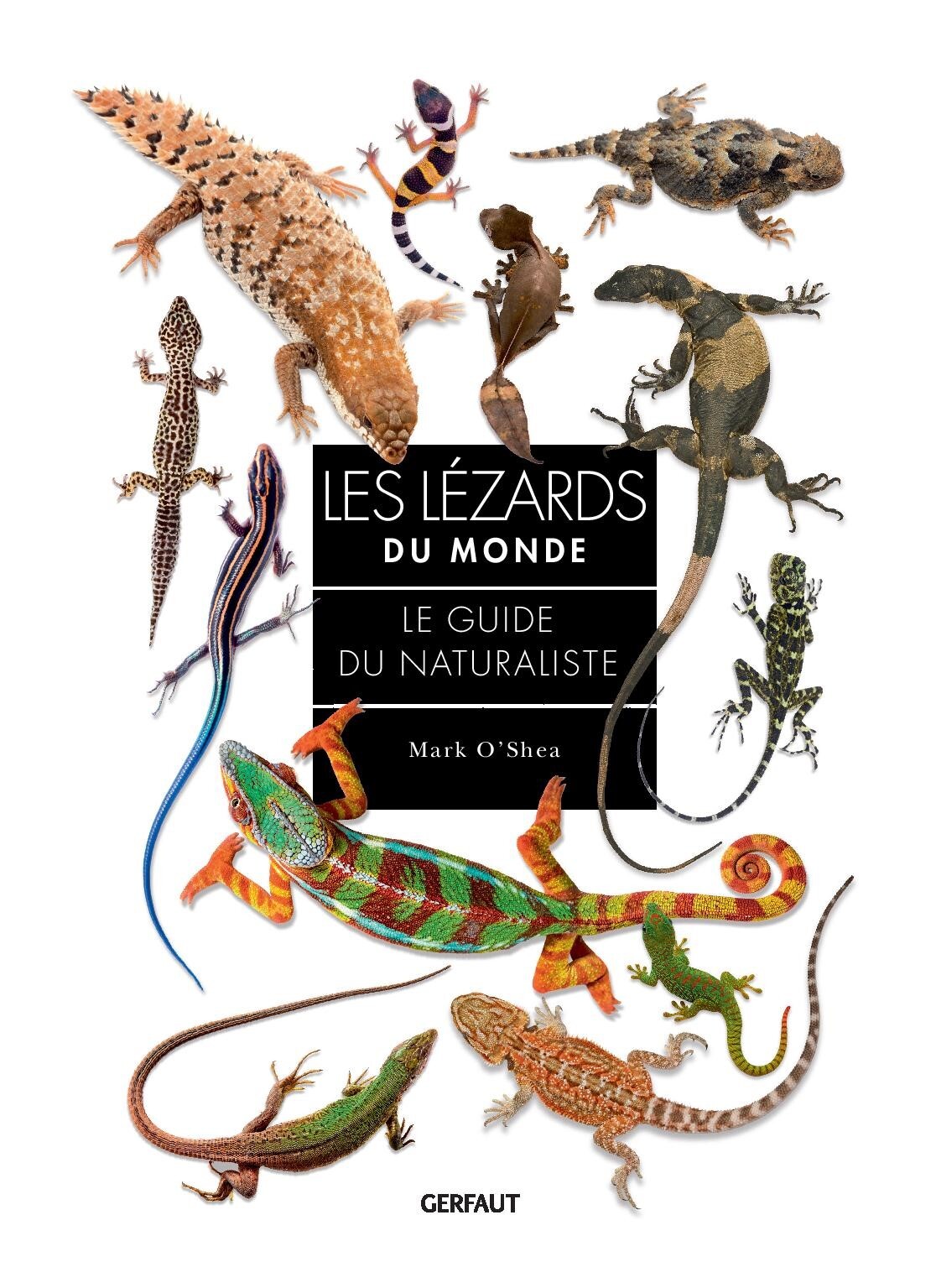 Les lézards du monde