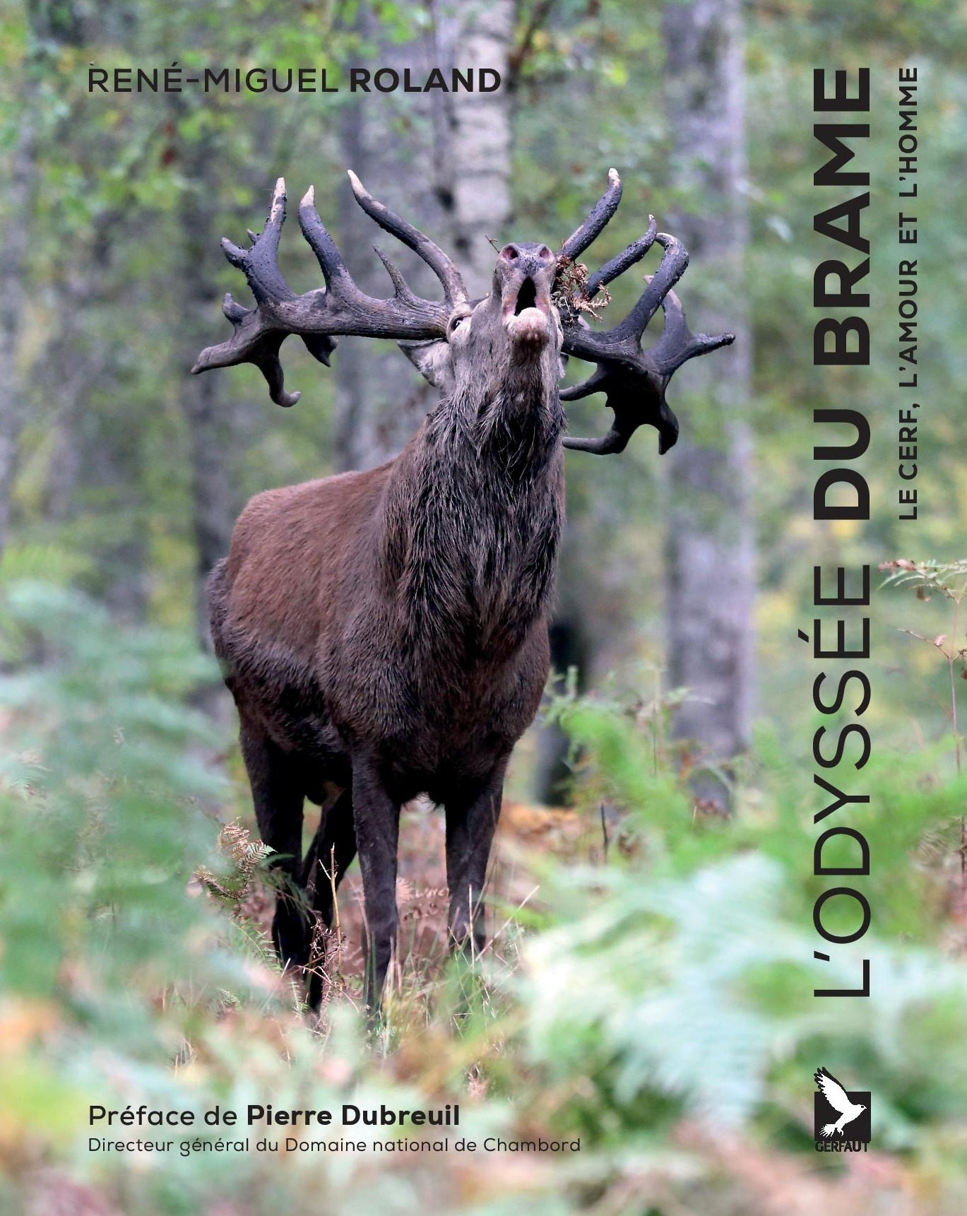 L'odyssée du brâme