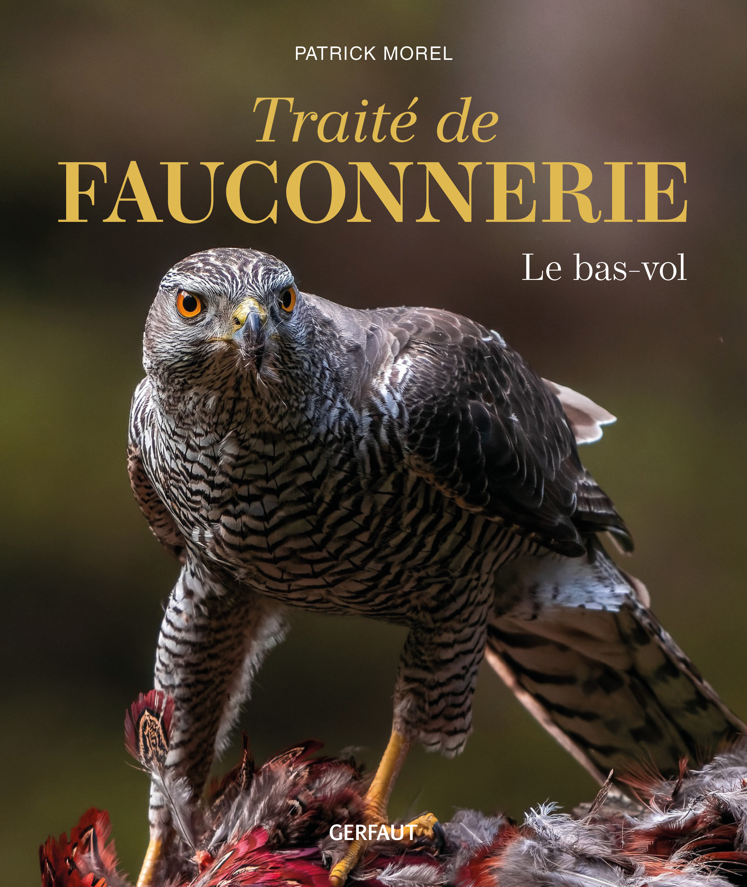 Traité de fauconnerie - Le bas-vol