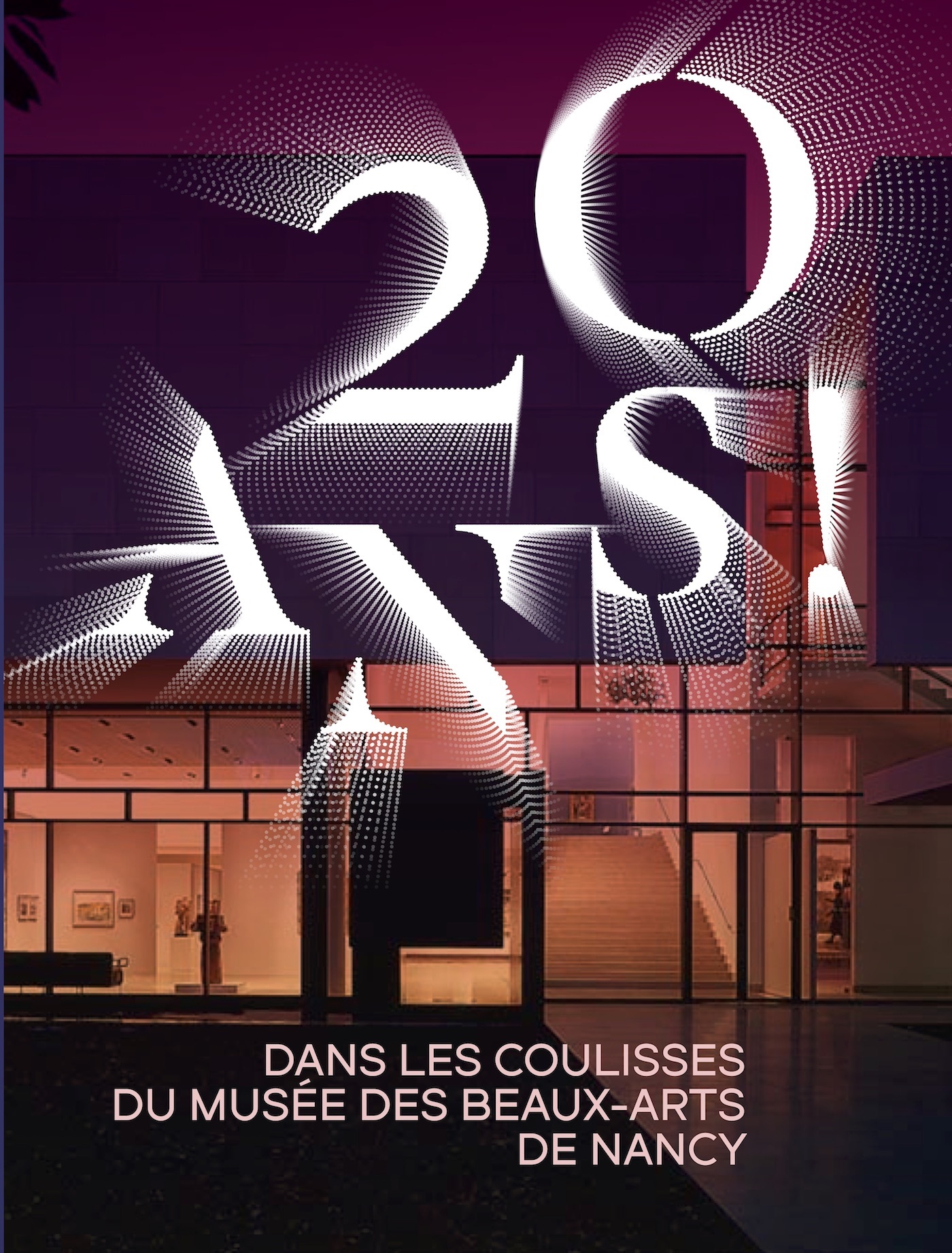 20 ans ! Dans les coulisses du Musée des Beaux-Arts de Nancy