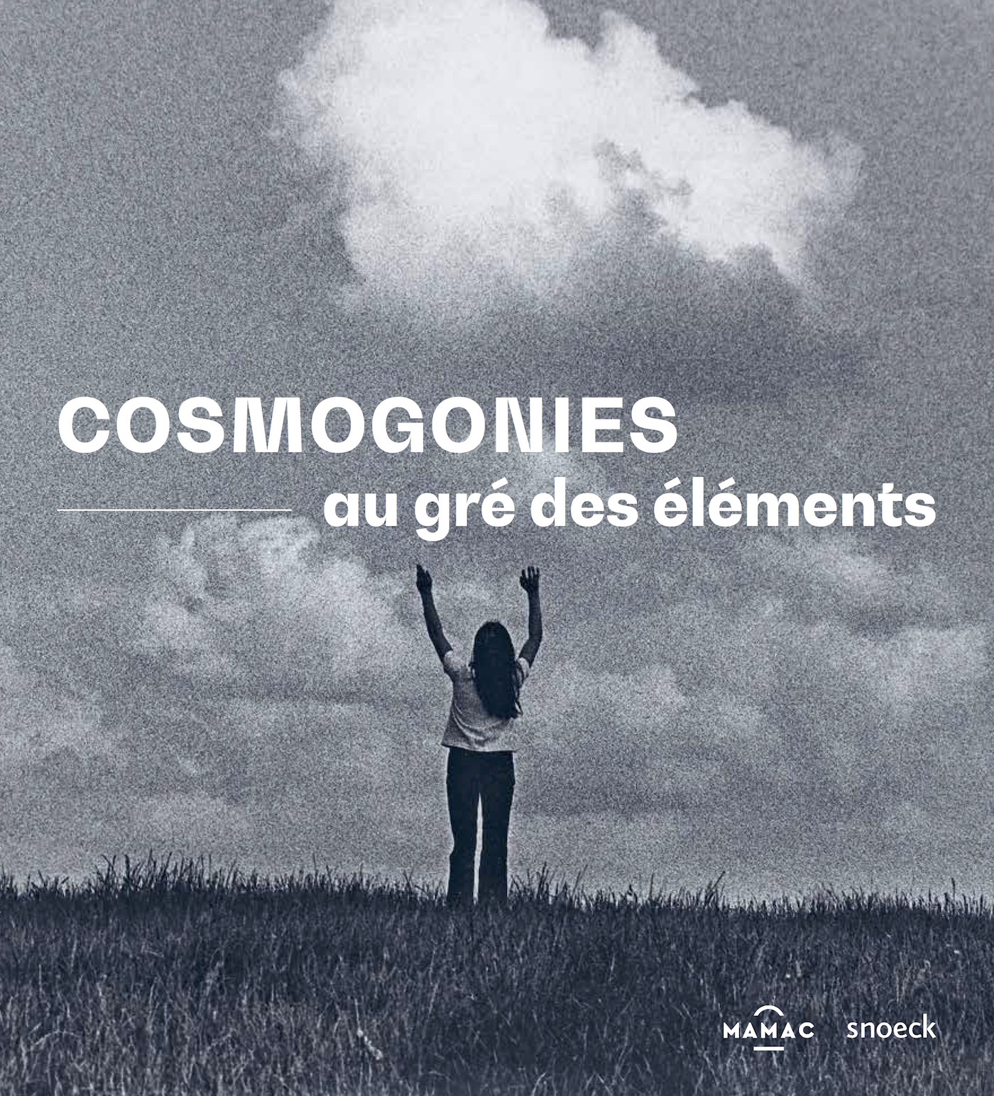 Cosmogonies