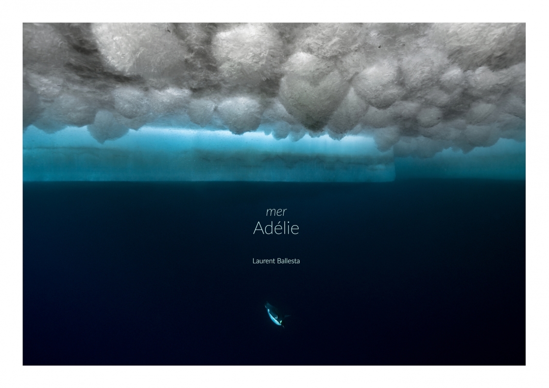 Adélie, terre et mer