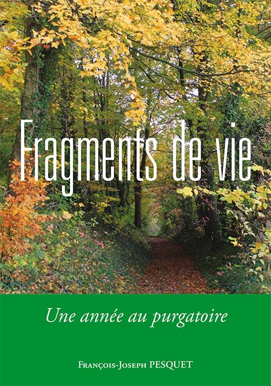 Fragments de vie