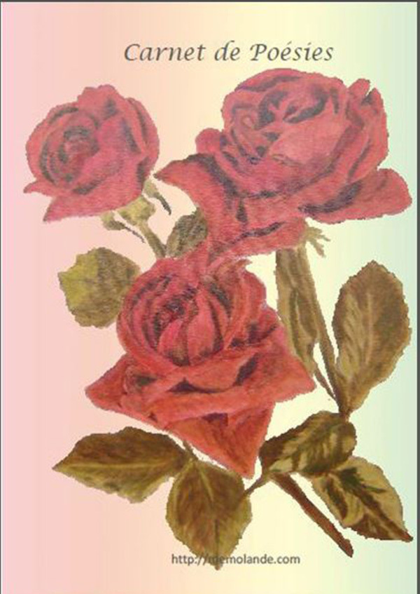 CARNET DE POÉSIES