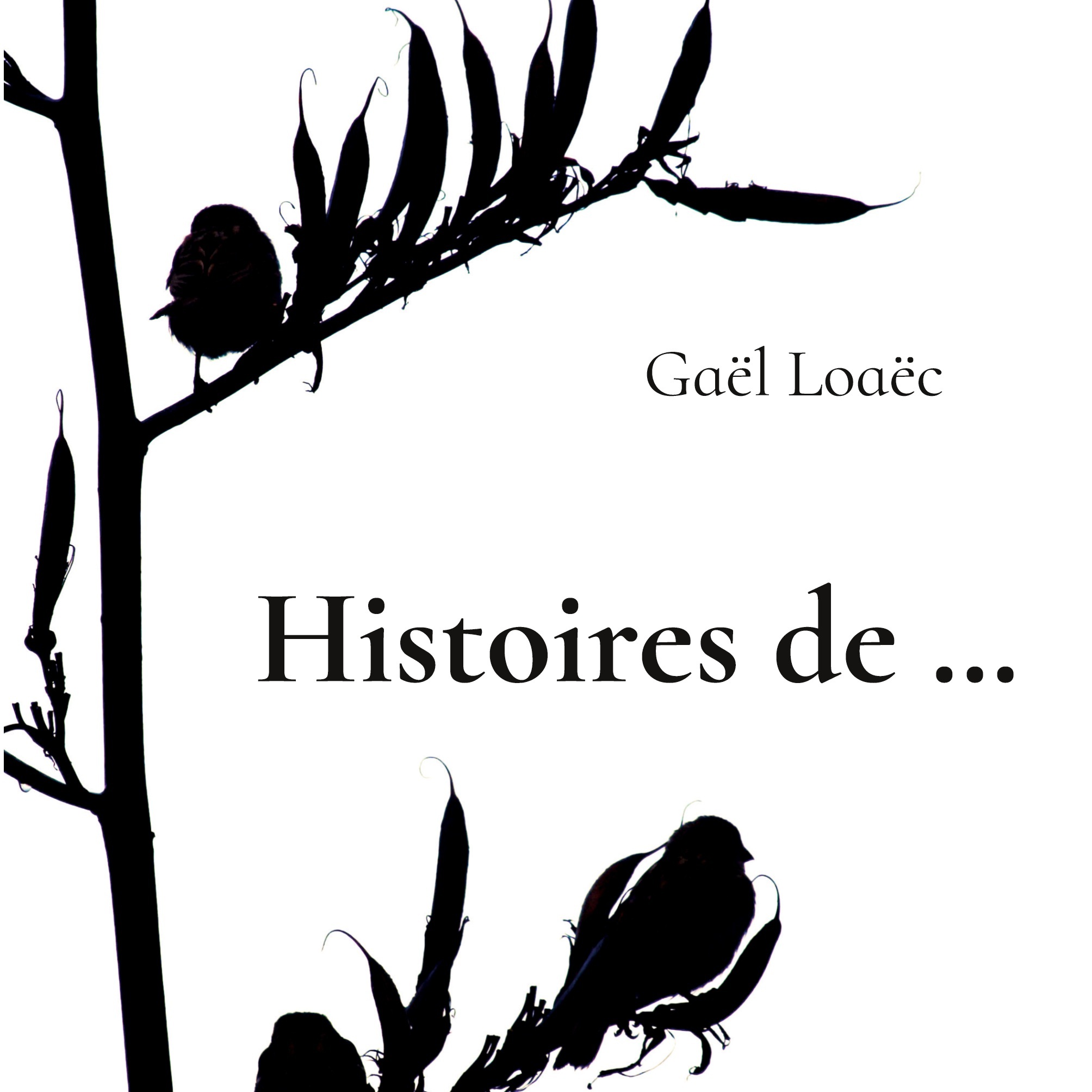 Histoires de...