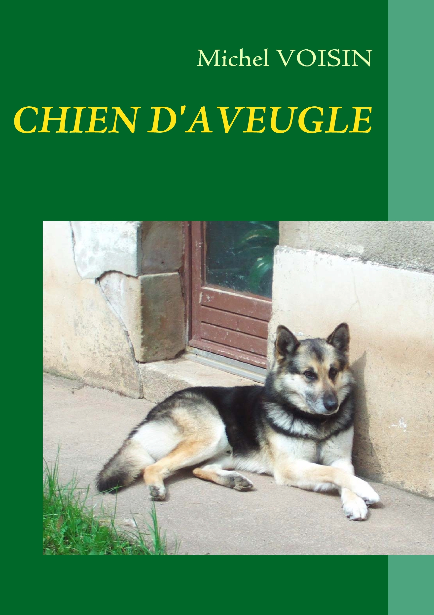 CHIEN D'AVEUGLE