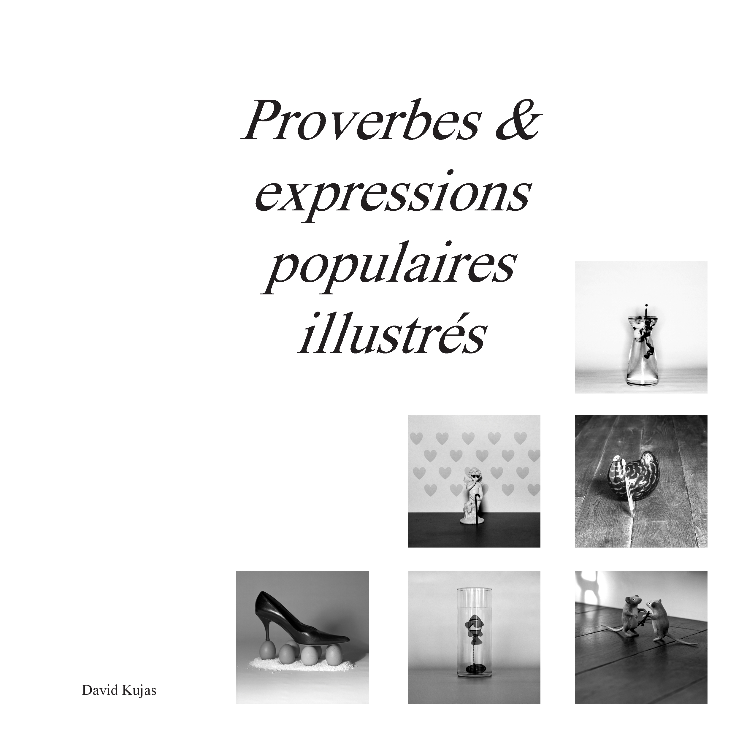 Proverbes & expressions populaires illustrés