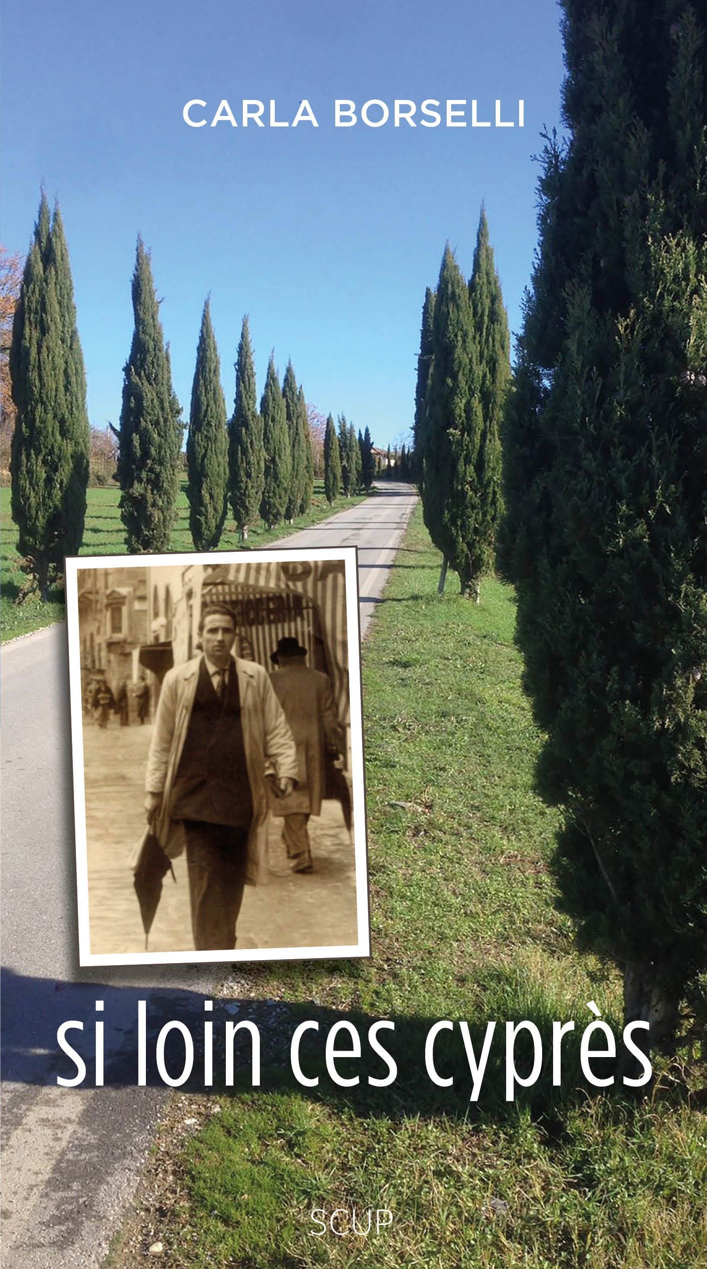 Si loin ces cyprès