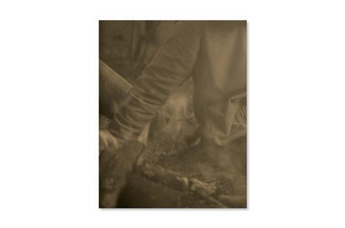 Florence Cuschieri La Ronde des Hirondelles /franCais/anglais/arabe