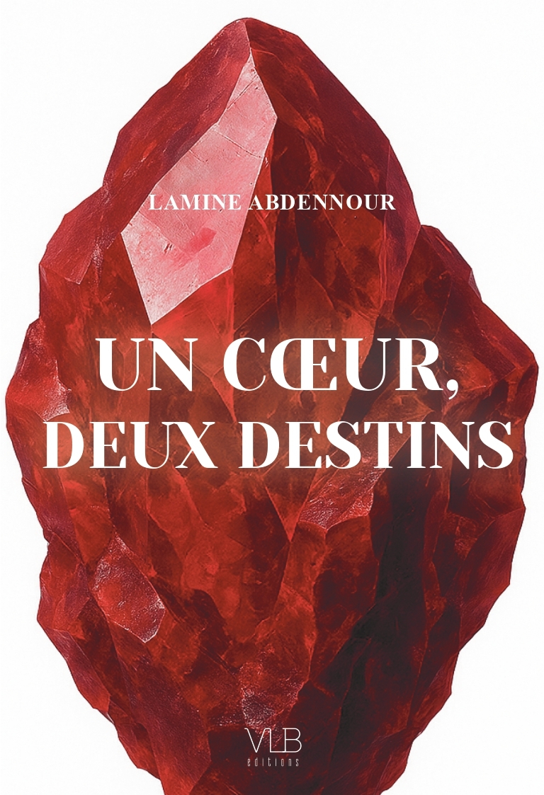 UN CœUR DEUX DESTINS