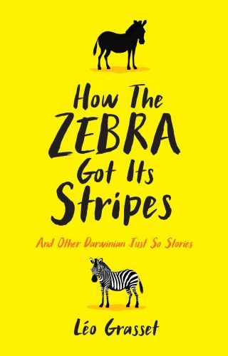 How the Zebra Got Its Stripes