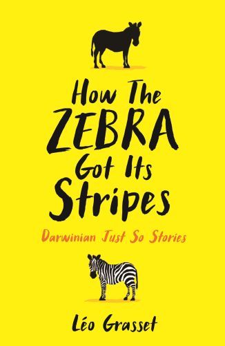 How the Zebra Got its Stripes