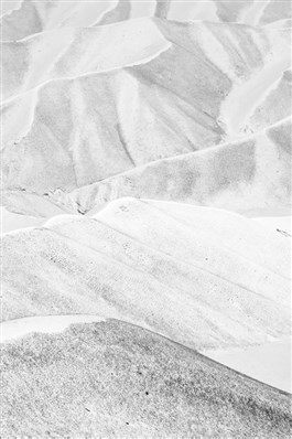 Frederik Buyckx Horse Head /anglais