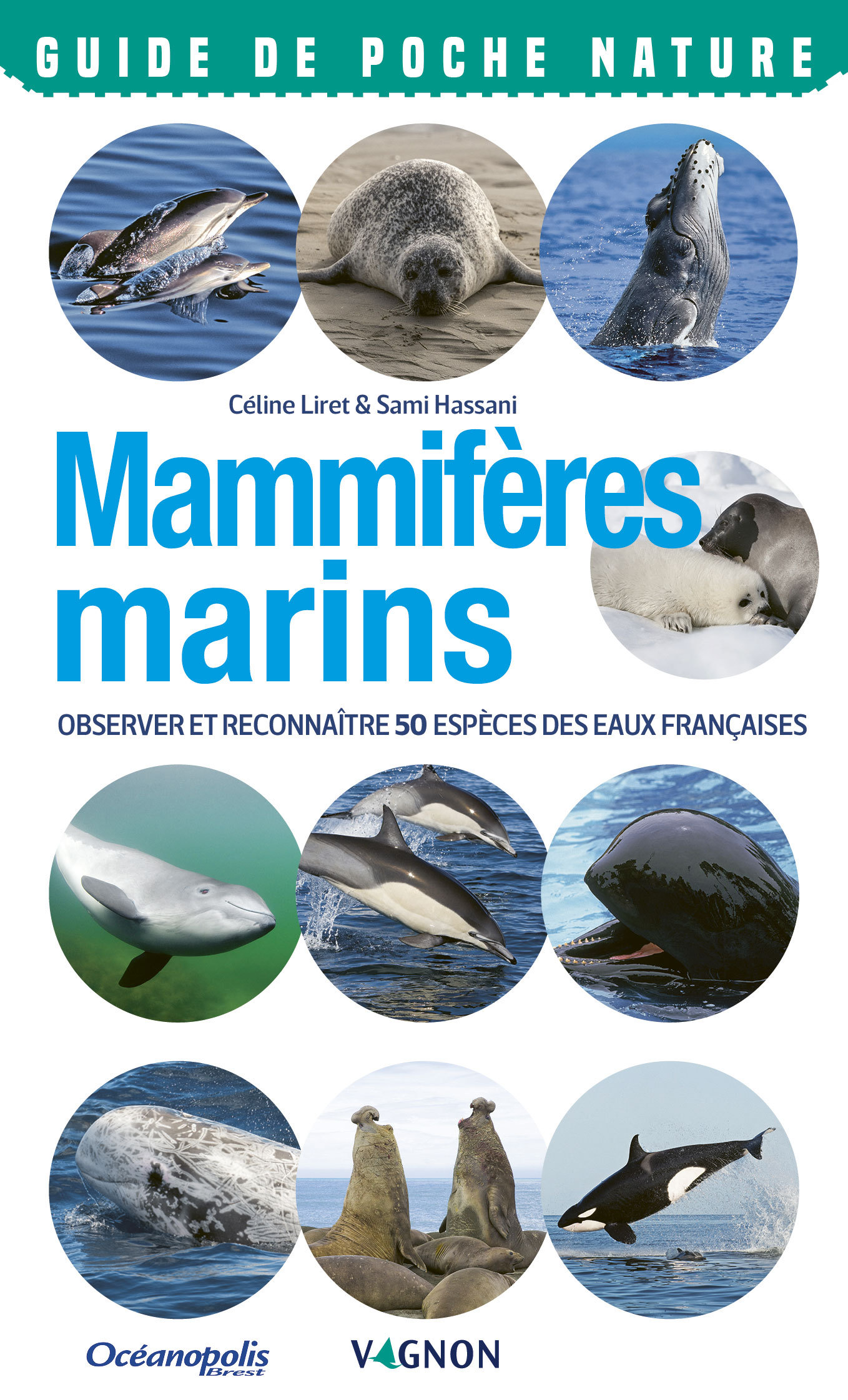 Mammifères marins. Observer et reconnaître 50 espèces des eaux françaises