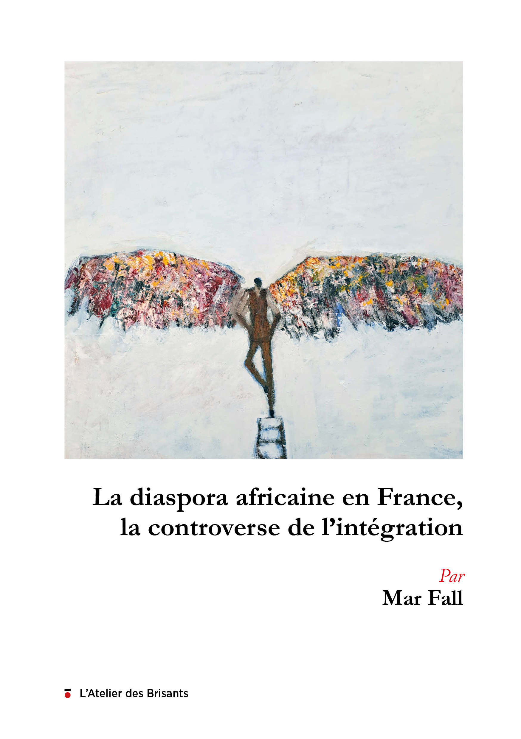 La diaspora africaine en France, la controverse de l'intégration