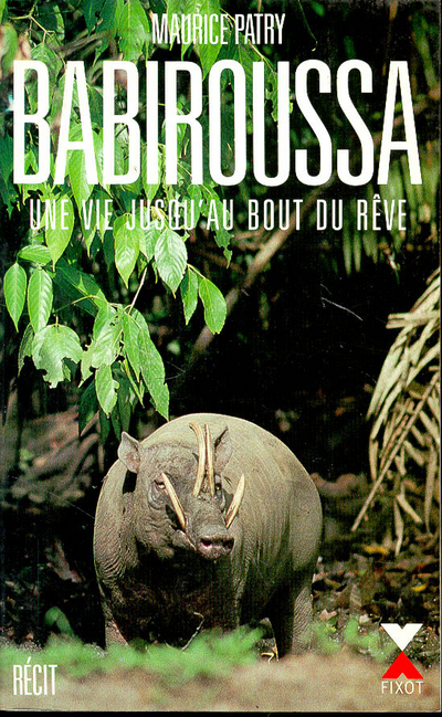Babiroussa une vie jusqu'au bout du rêve