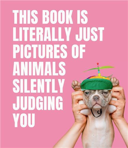 This Book is Literally Just Pictures of Animals Silently Judging You /anglais