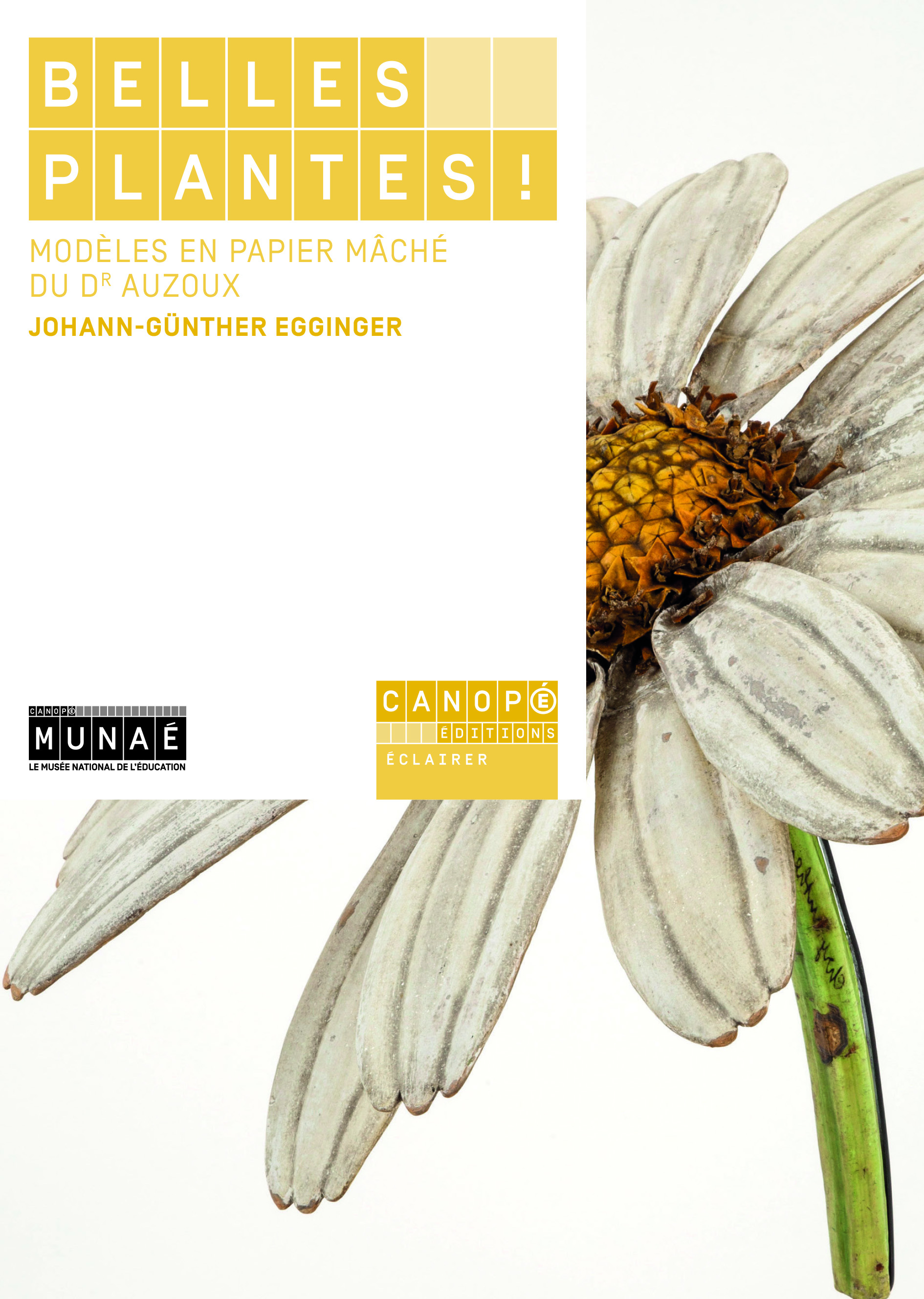 Belles plantes ! - modèles en papier mâché du Dr Auzoux