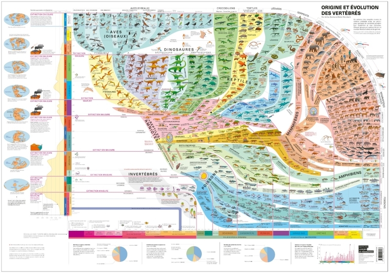 Atlas des vertébrés