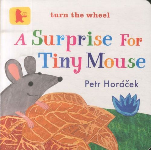 A Surprise for Tiny Mouse