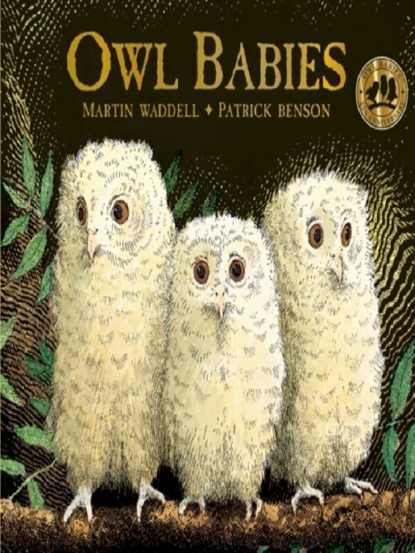 Owl Babies