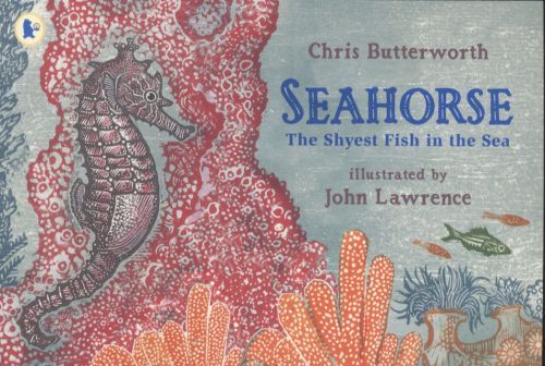 Seahorse : The Shyest Fish in the Sea
