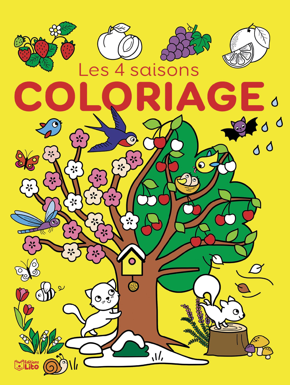 GRAND LIVRE COLORIAGE 4 SAISON
