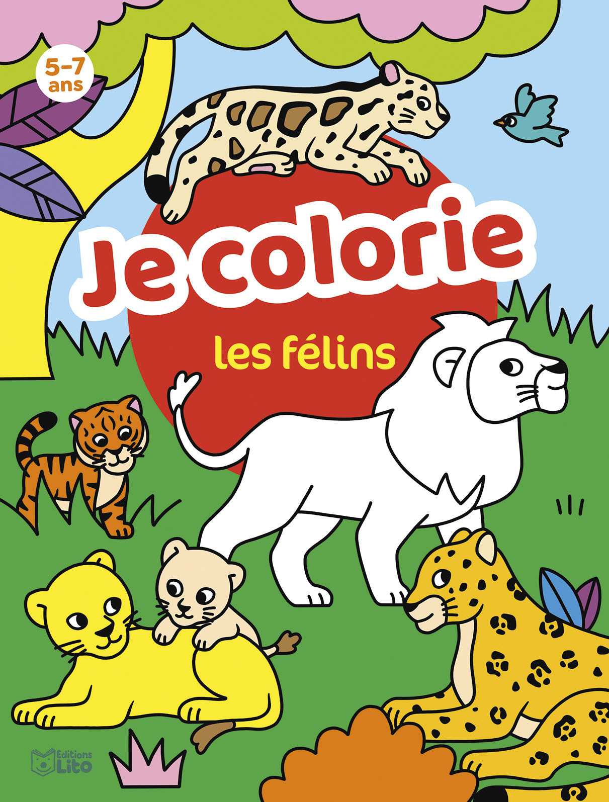 MES COLO DOCU LES FELINS