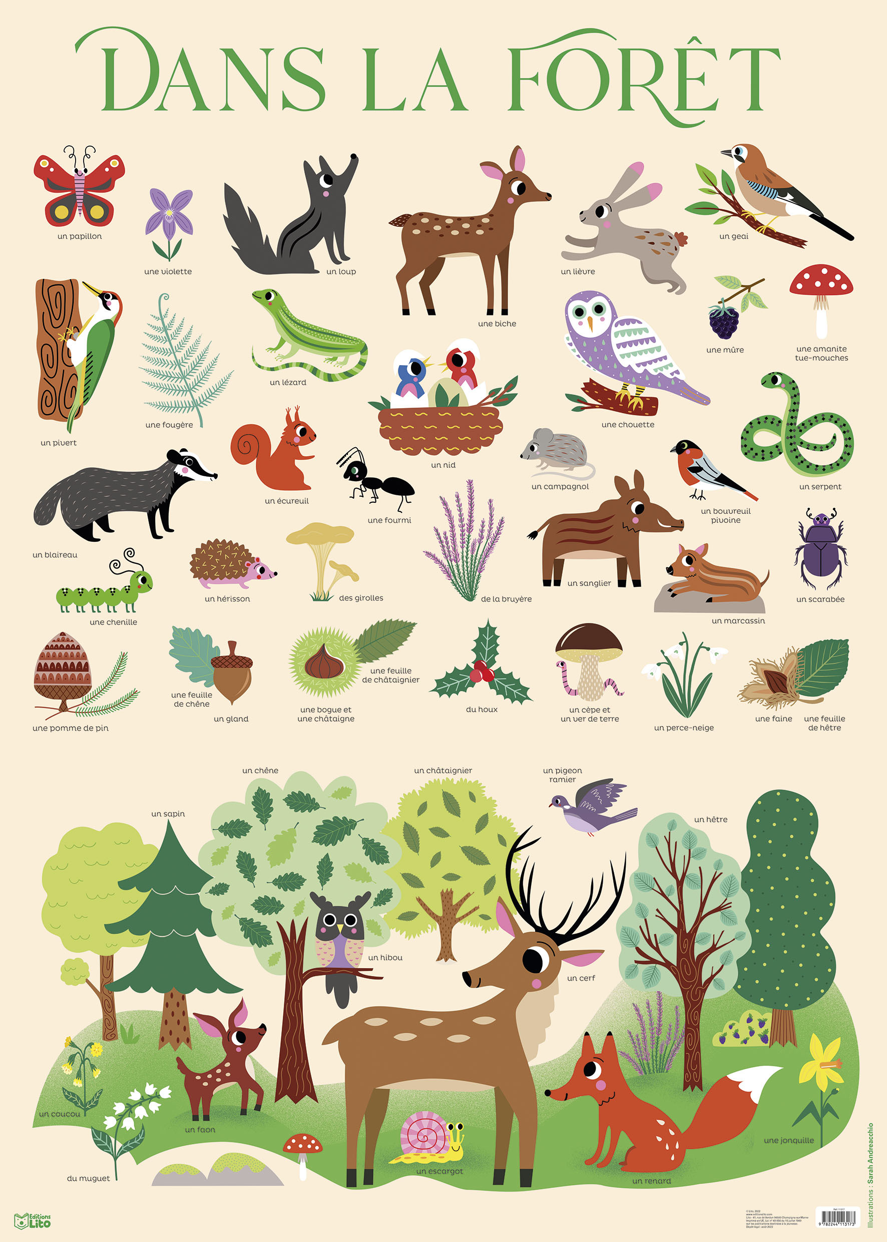 POSTER DANS LA FORET MIN 5