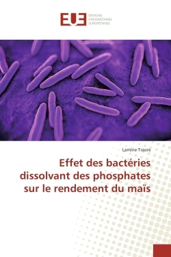 Effet des bactéries dissolvant des phosphates sur le rendement du maïs