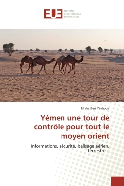 Yémen une tour de contrôle pour tout le moyen orient